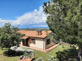 Il Corbezzolo, Paciano